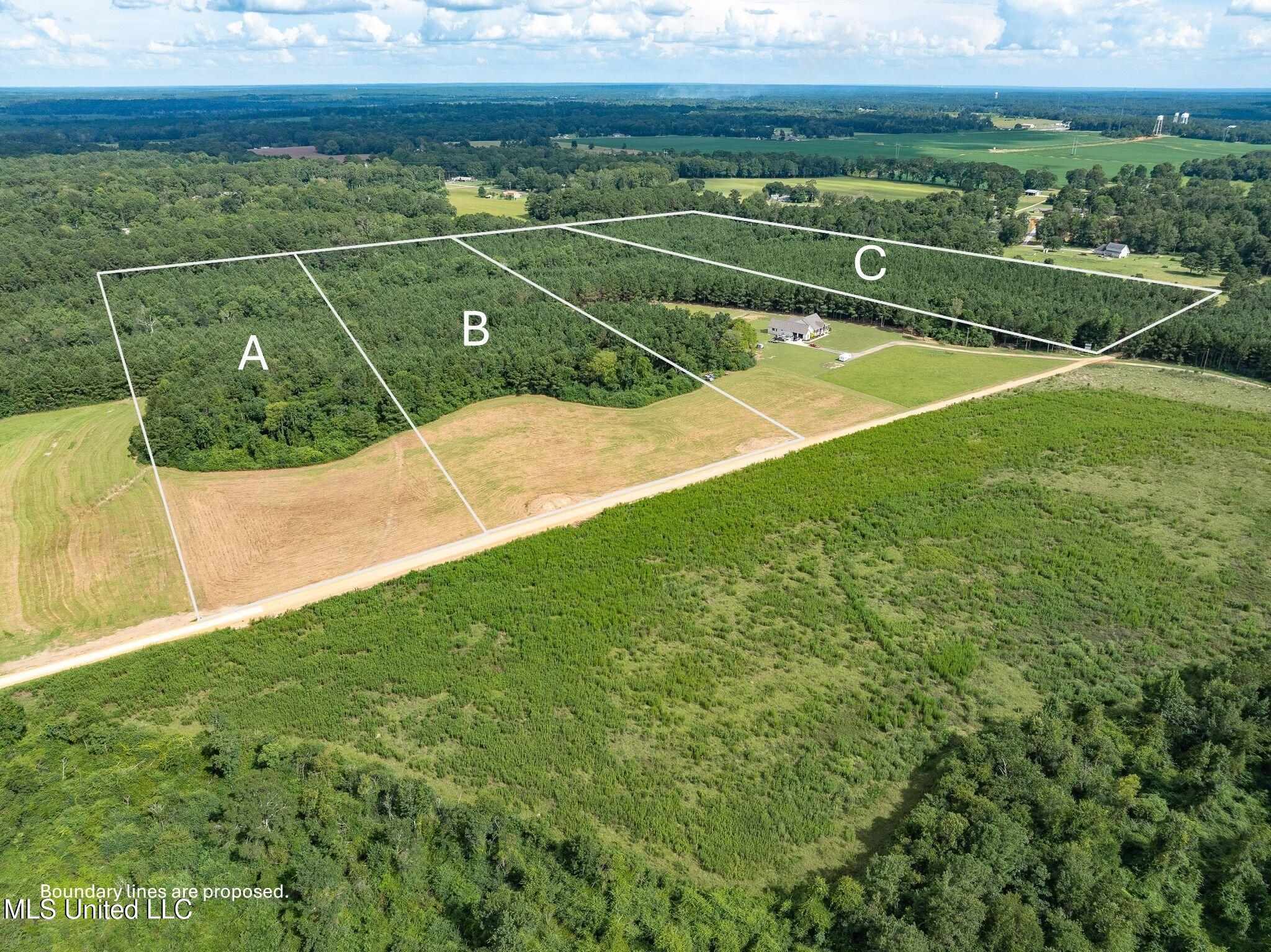 Parcel C J. Runnels Road Property Photo 13