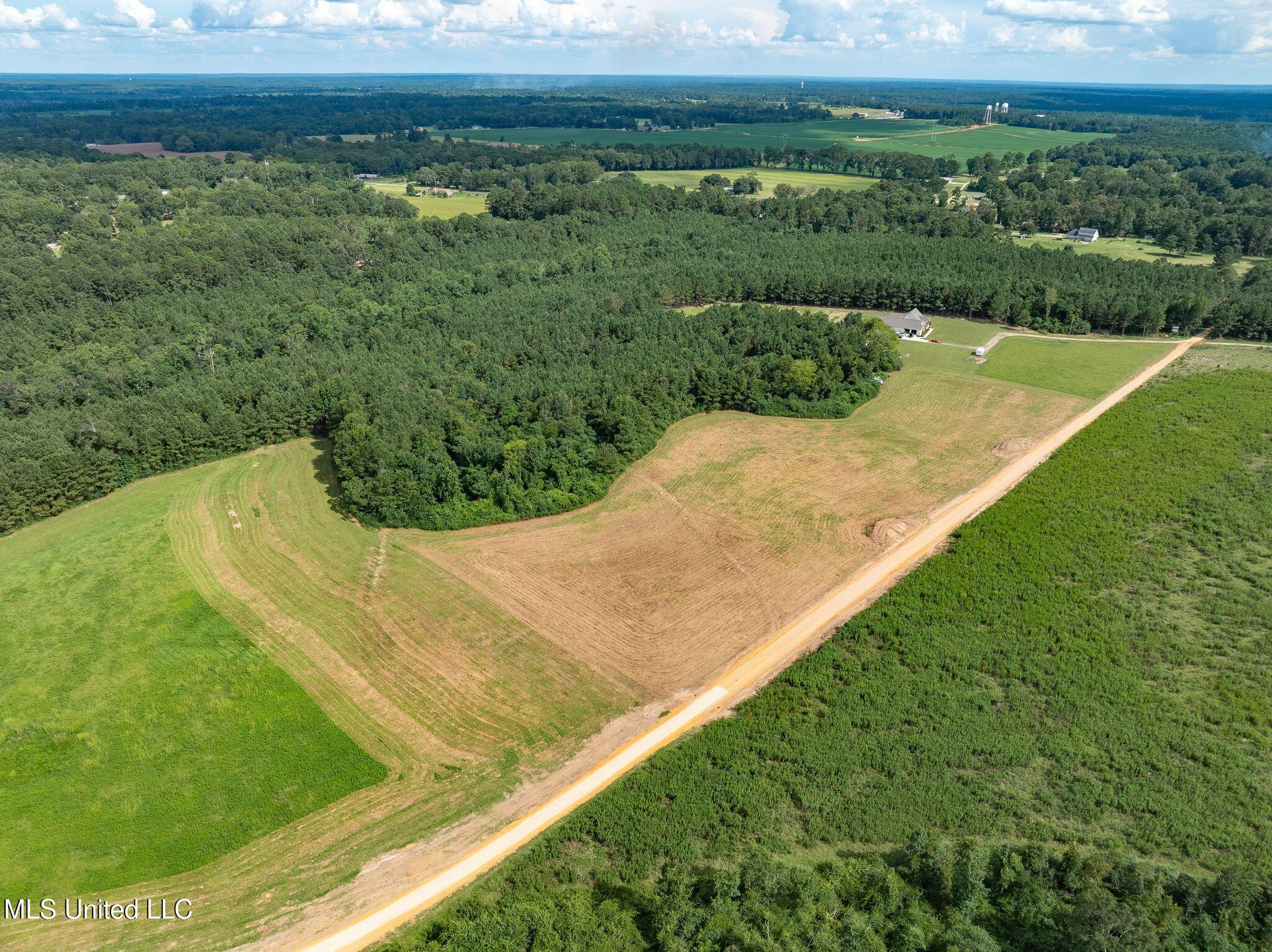 Parcel C J. Runnels Road Property Photo 14