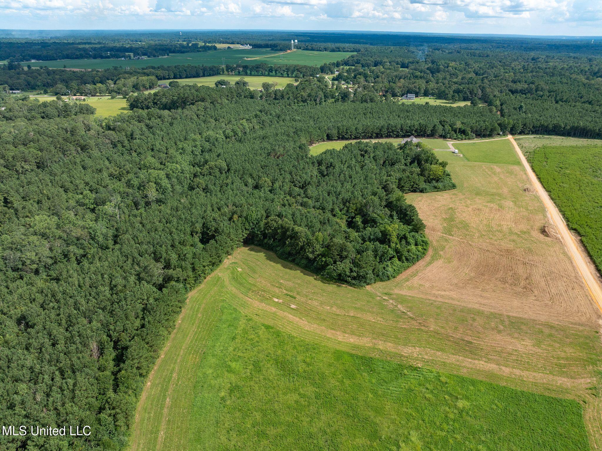 Parcel C J. Runnels Road Property Photo 15