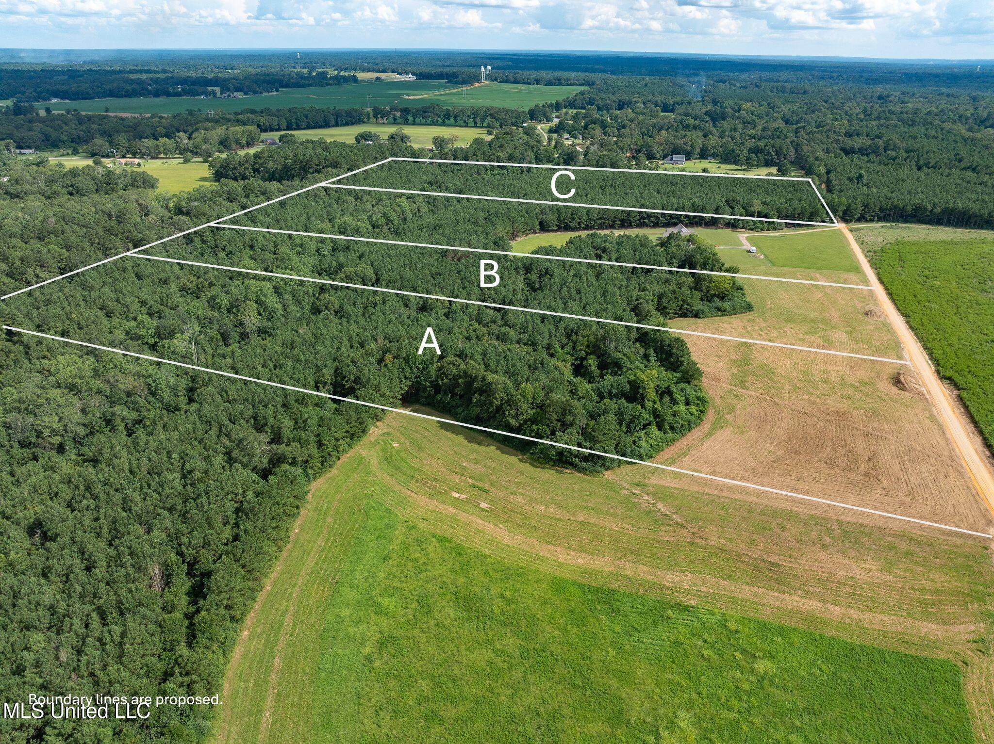 Parcel C J. Runnels Road Property Photo 16