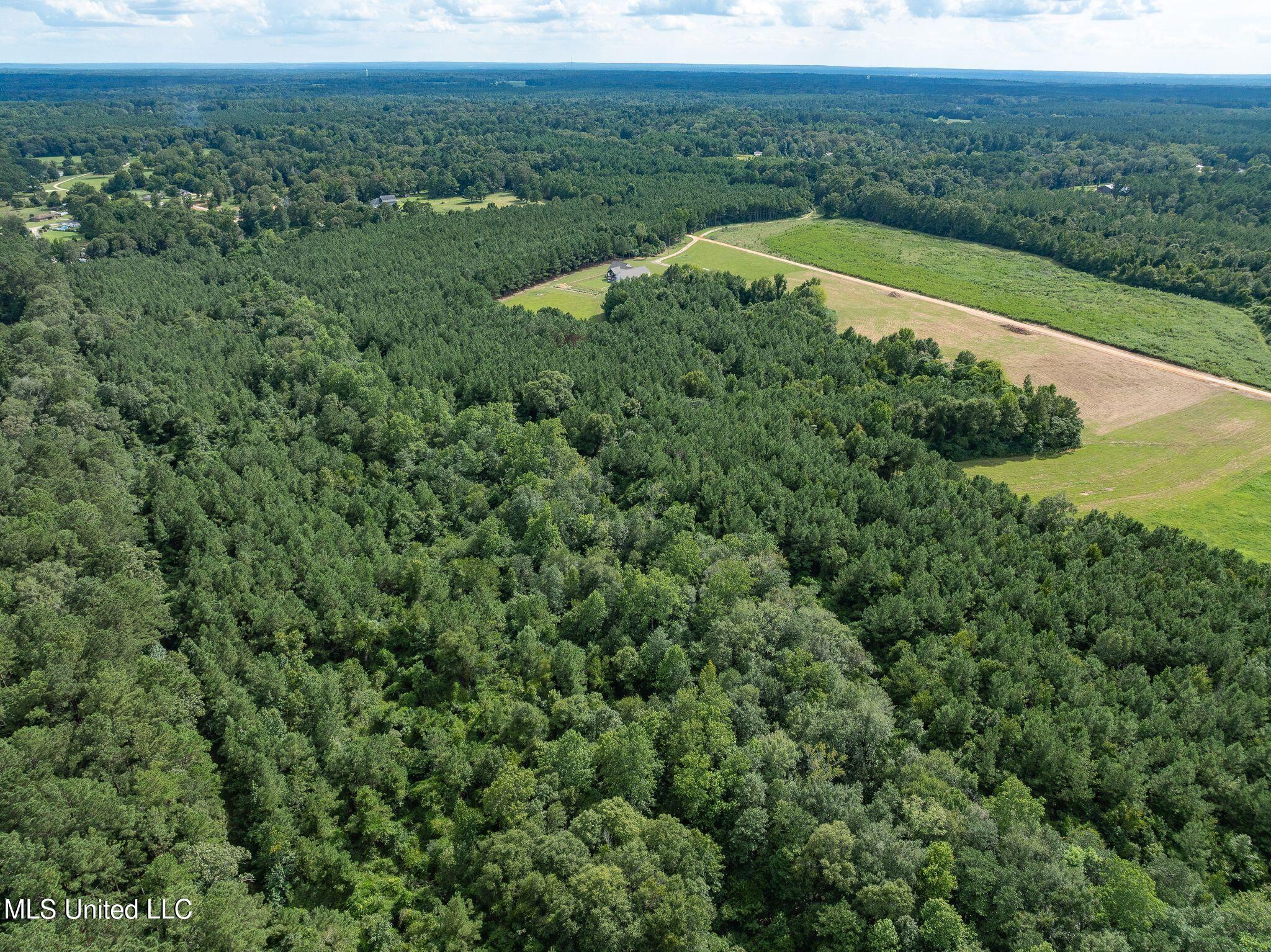 Parcel C J. Runnels Road Property Photo 17
