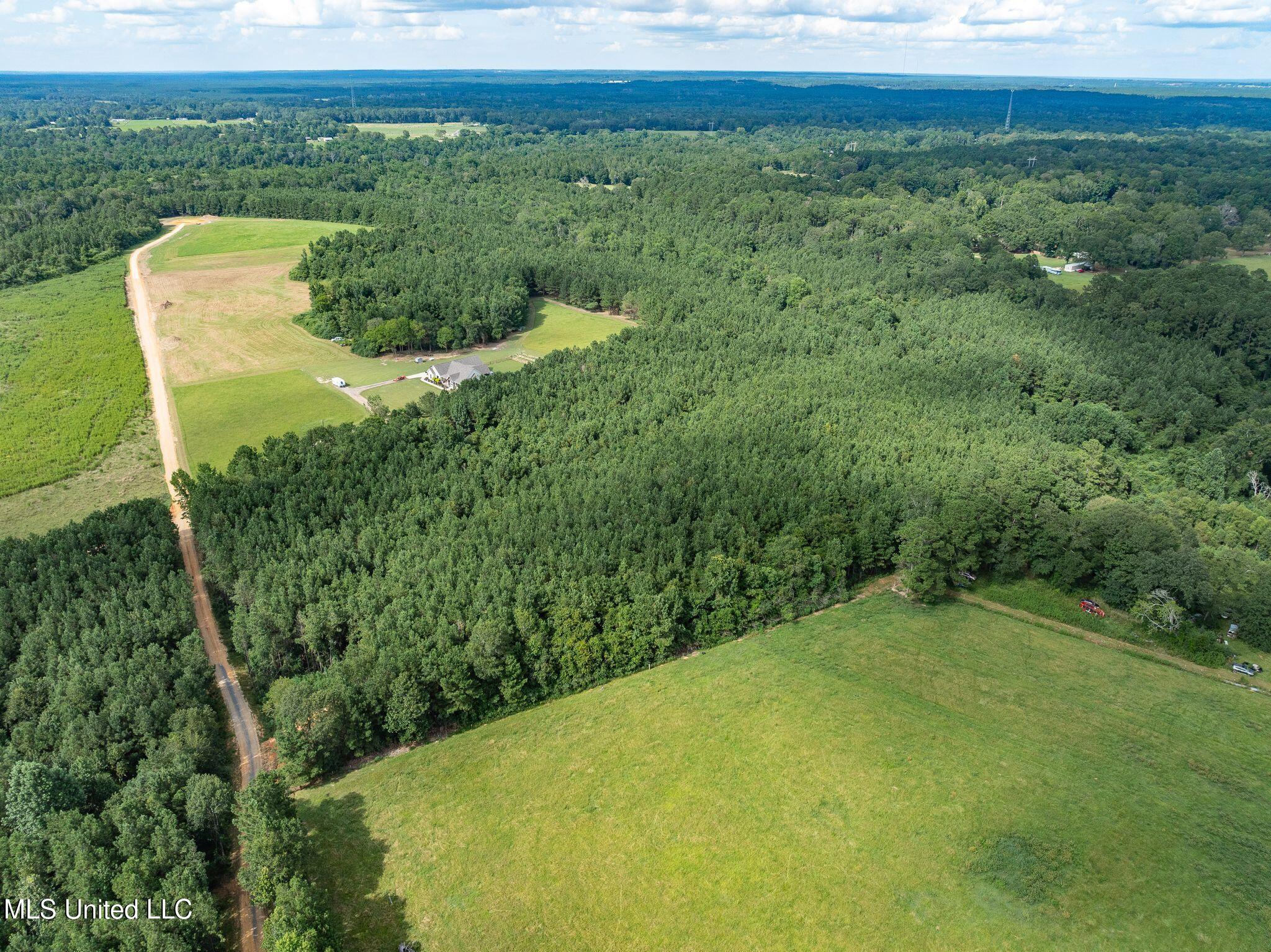 Parcel C J. Runnels Road Property Photo 18
