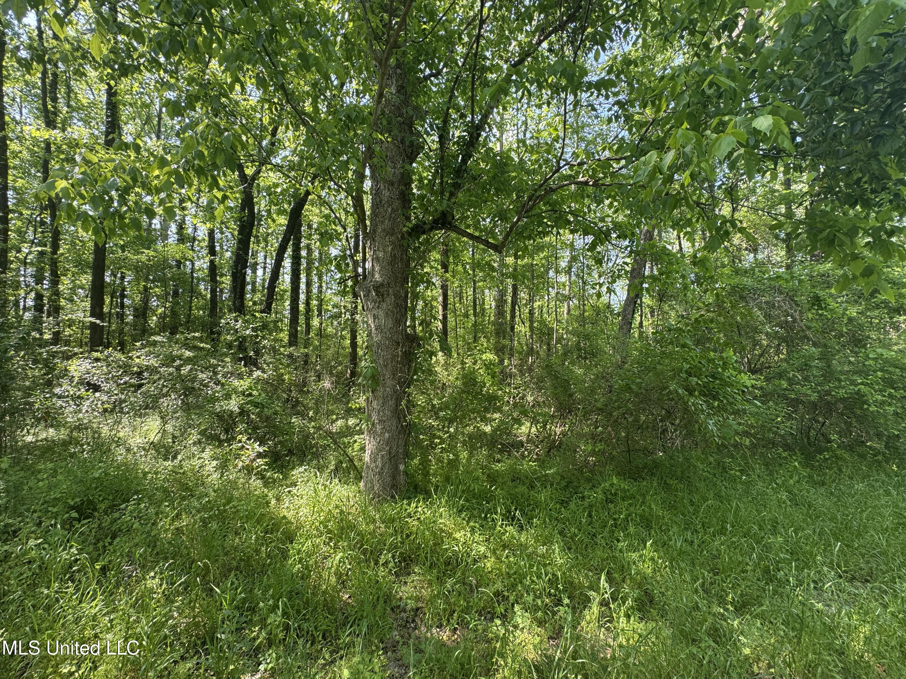 0001 Old Hwy 471 Property Photo 1