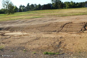 2 Chapel Hill Subdivision Property Photo 1