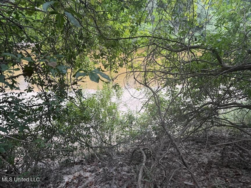 Creek Bank Road Property Photo 2