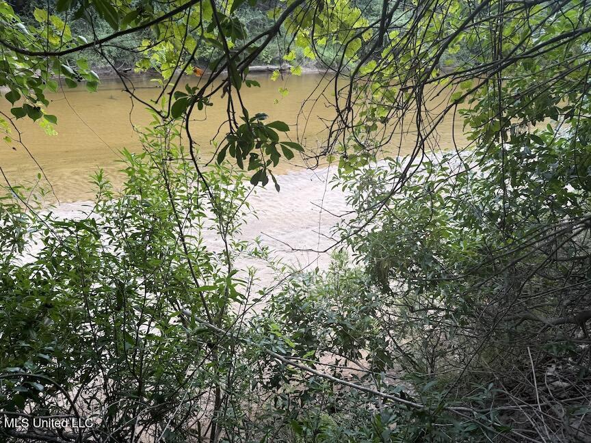 Creek Bank Road Property Photo 3