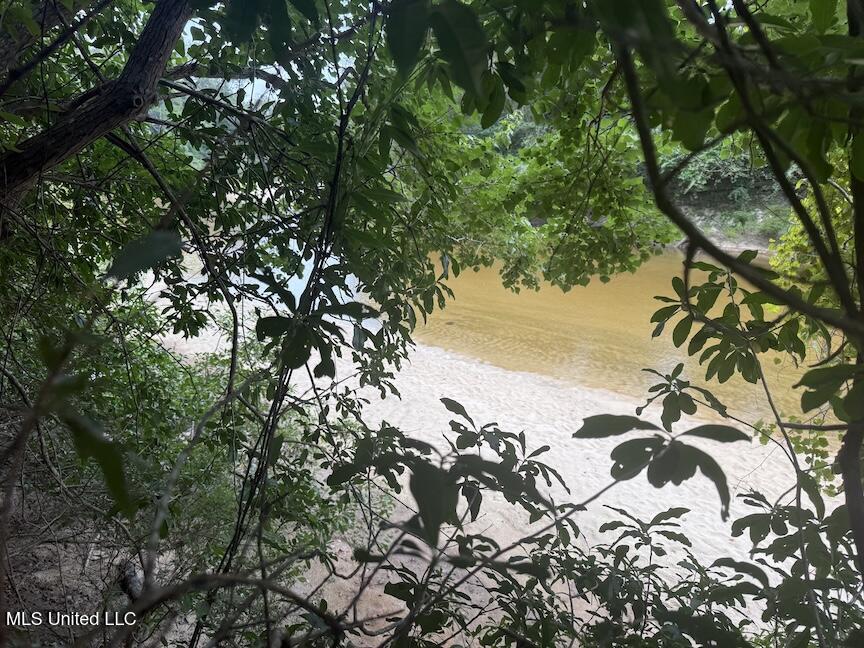 Creek Bank Road Property Photo 4