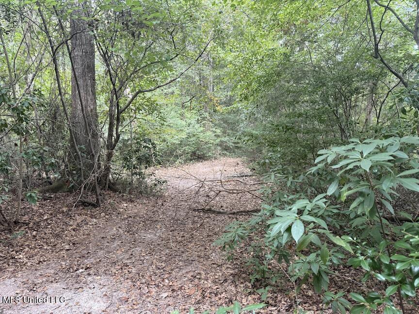 Creek Bank Road Property Photo 5