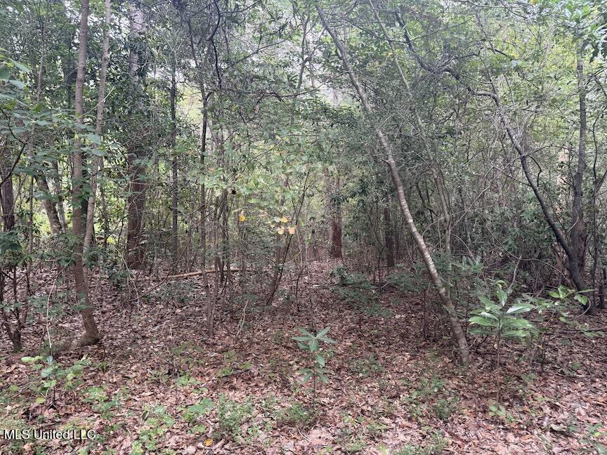 Creek Bank Road Property Photo 6