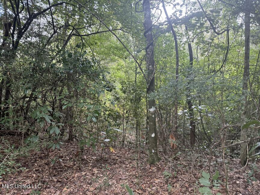 Creek Bank Road Property Photo 7