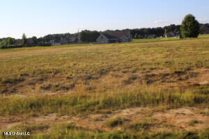 7 Chapel Hill Subdivision Property Photo 1