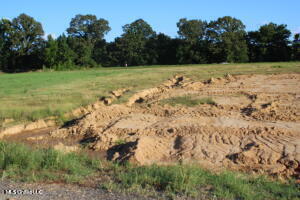 9 Chapel Hill Subdivision Property Photo 1