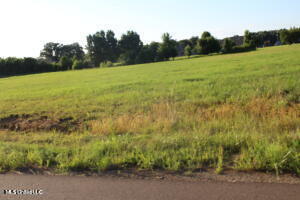 24 Chapel Hill Subdivision Property Photo 1