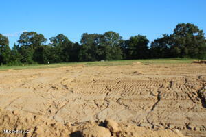 31 Chapel Hill Subdivision Property Photo 1