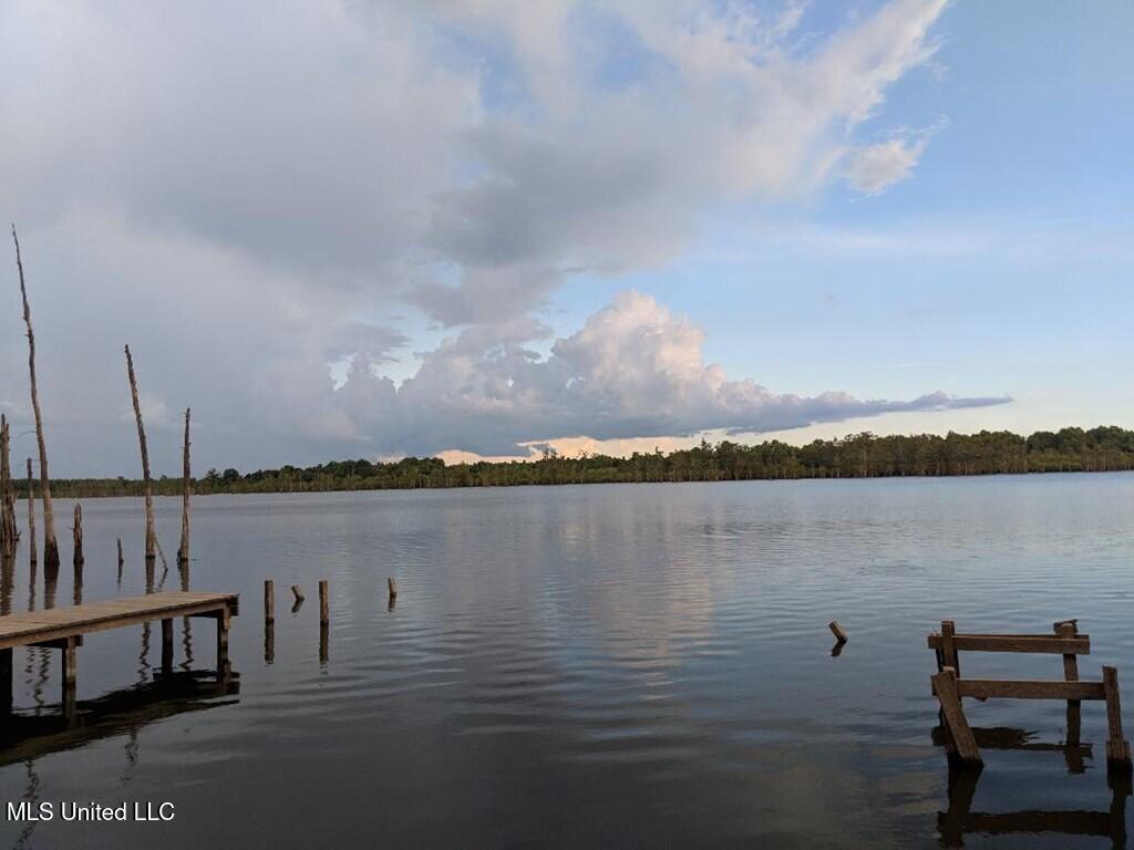 0 Pecan Grove Road Property Photo 2
