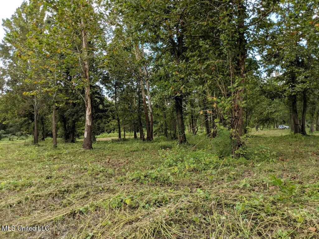 0 Pecan Grove Road Property Photo 5