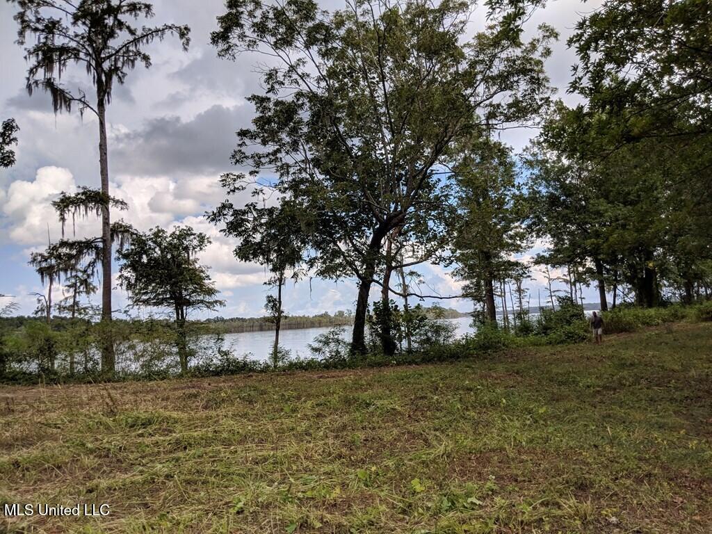 0 Pecan Grove Road Property Photo 6