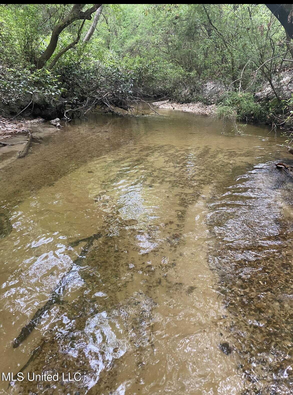 10.35 Ac Barton Agricola Road Property Photo 1