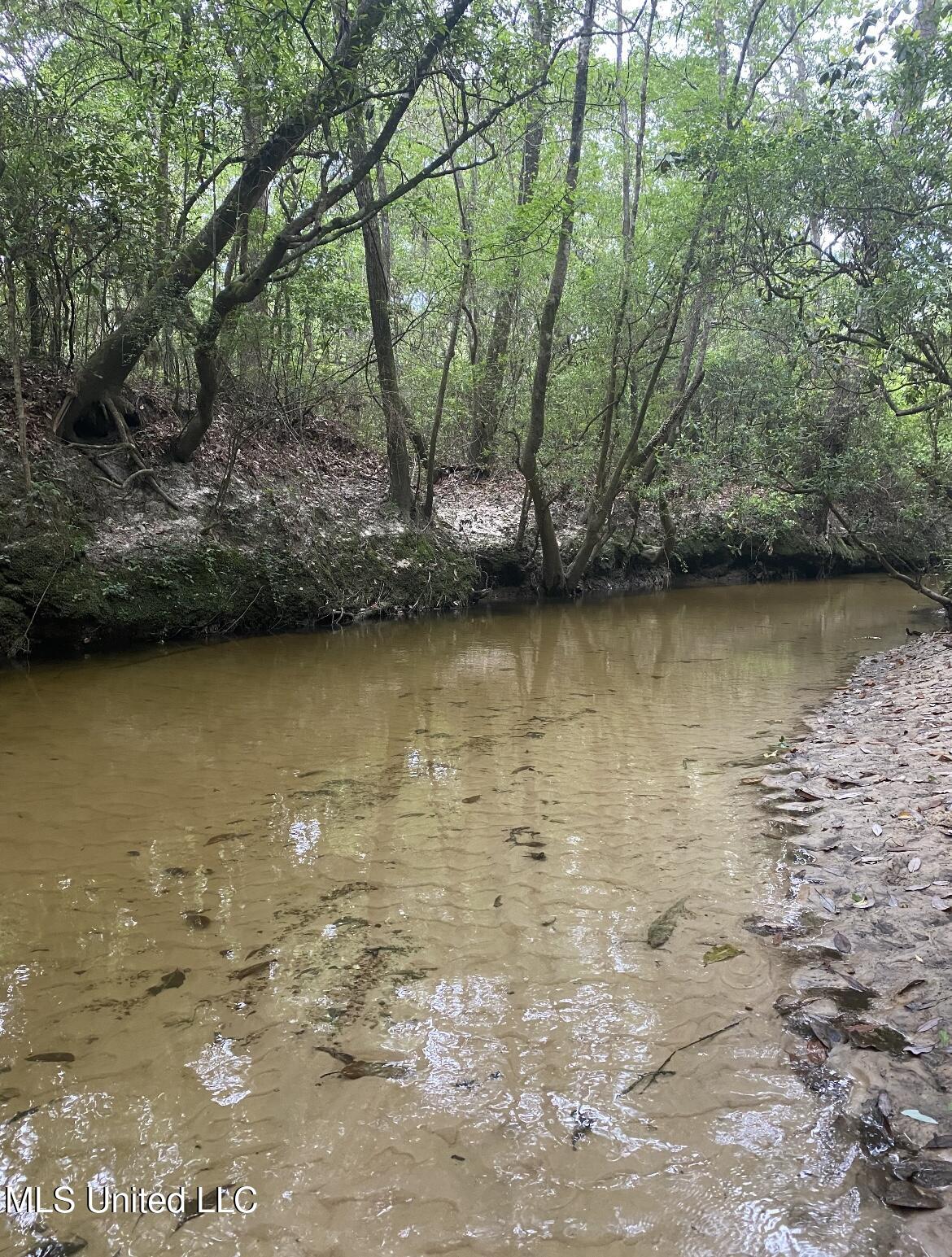 10.35 Ac Barton Agricola Road Property Photo 2