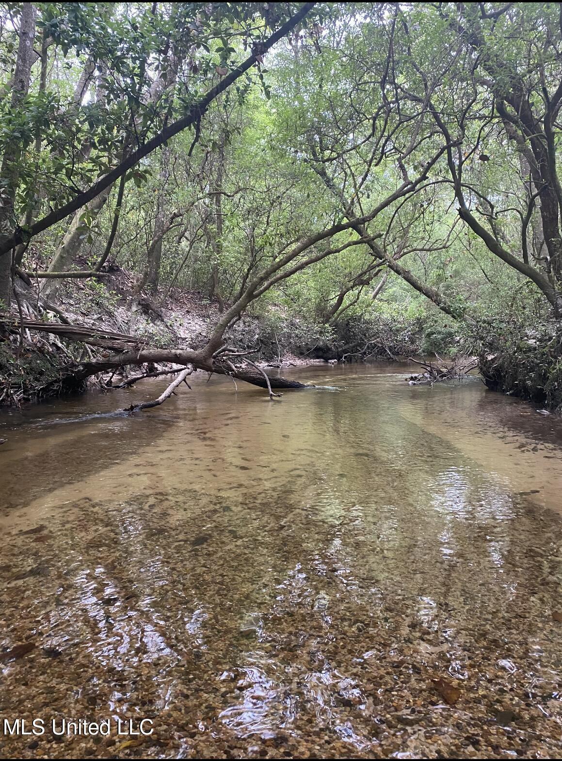 10.35 Ac Barton Agricola Road Property Photo 3