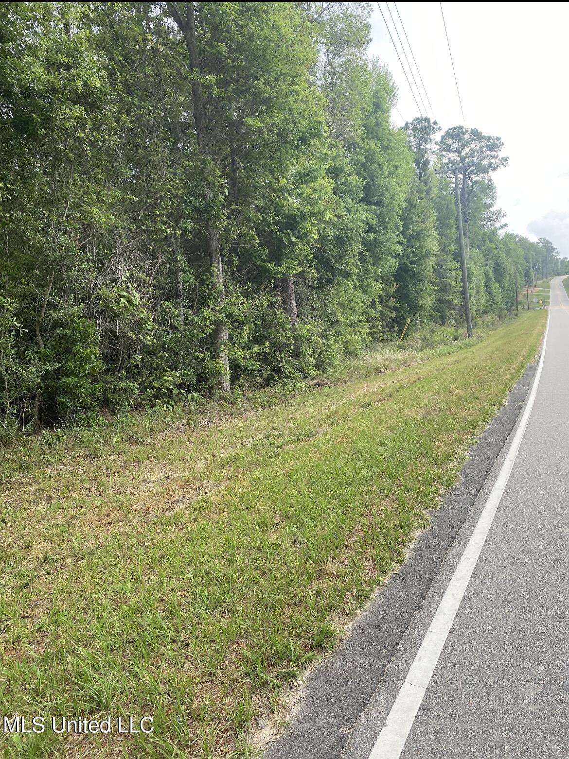 10.35 Ac Barton Agricola Road Property Photo 5