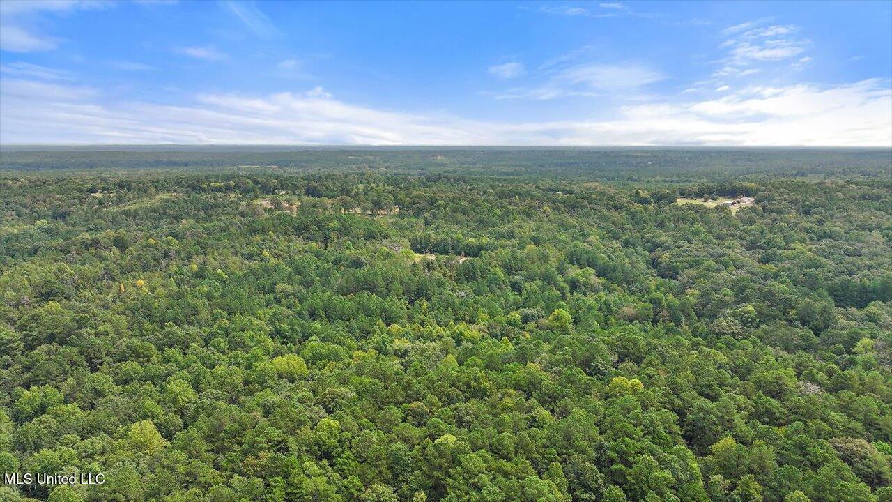 255 Everett Church Road Property Photo 12