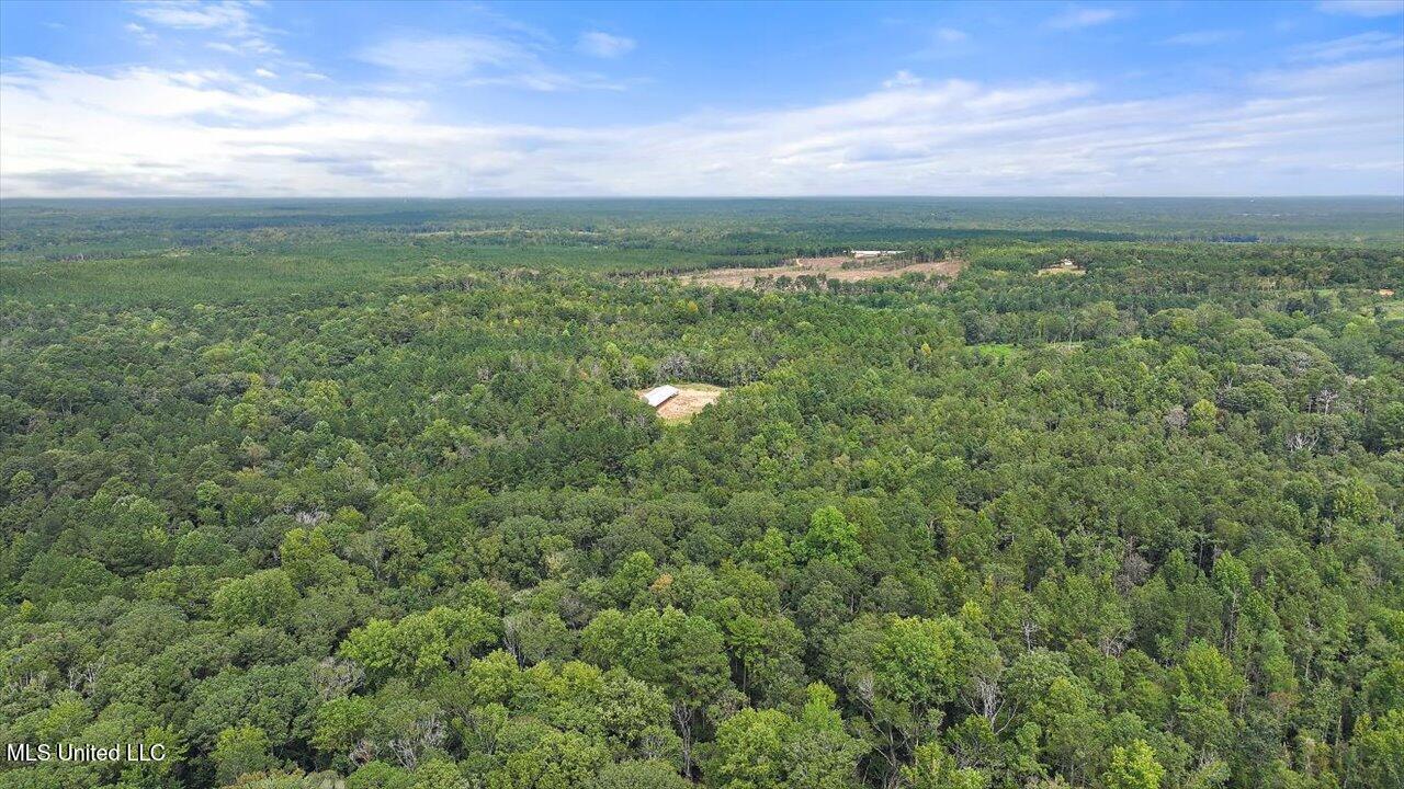 255 Everett Church Road Property Photo 15