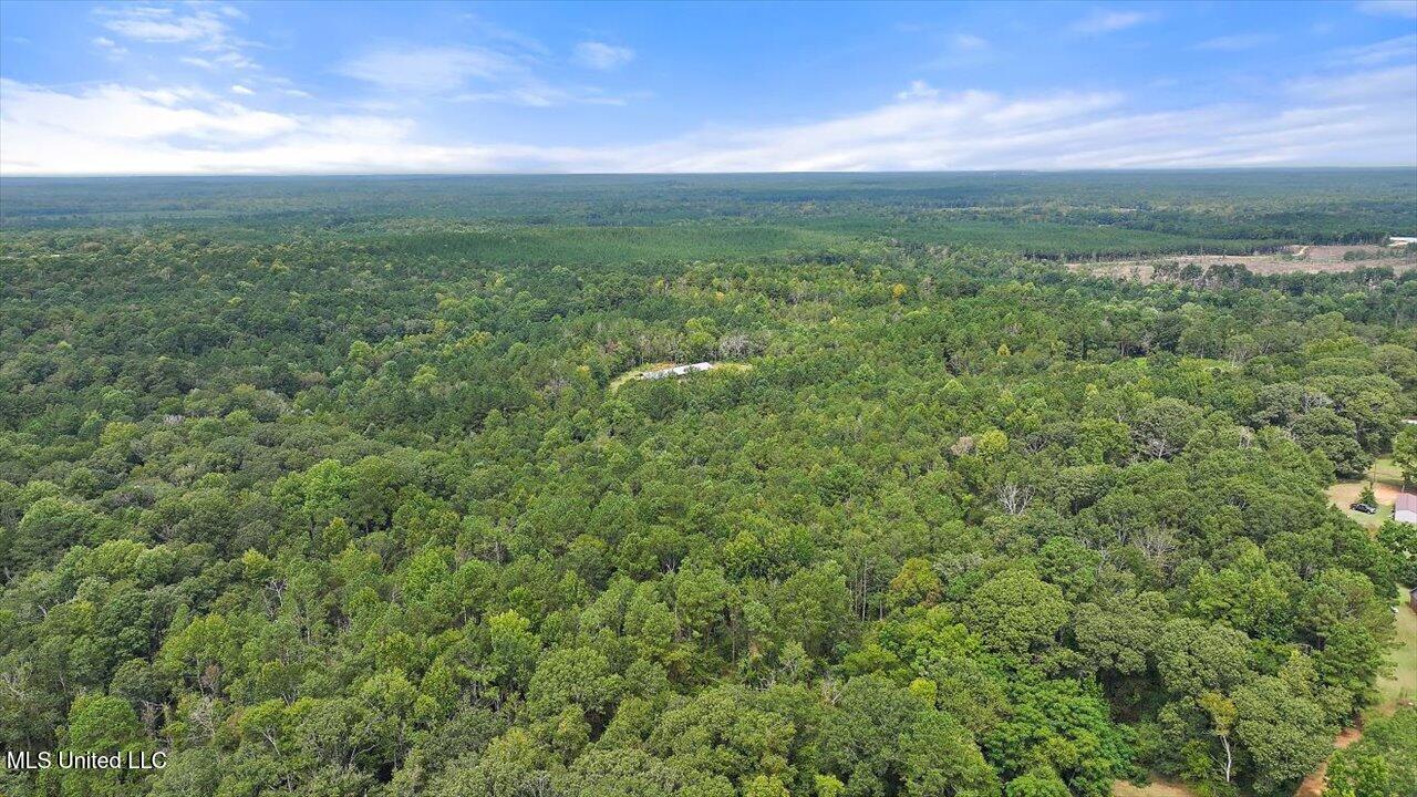 255 Everett Church Road Property Photo 16