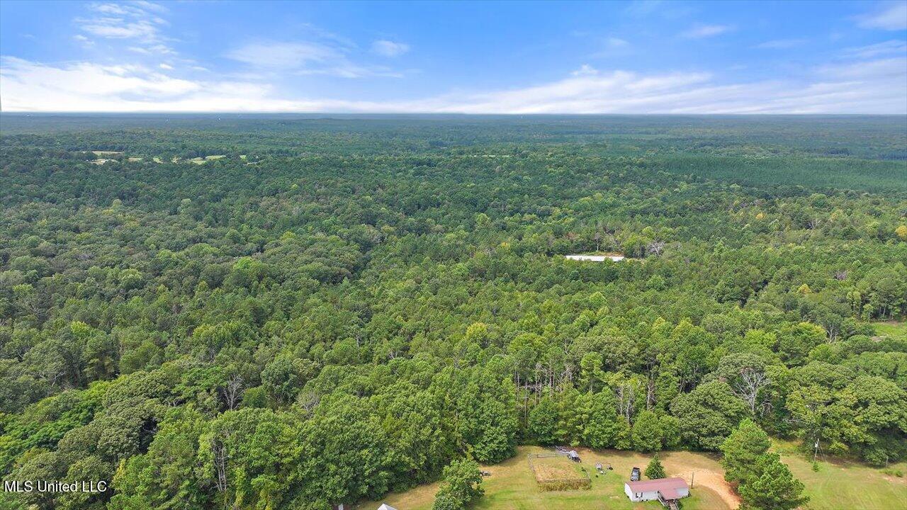 255 Everett Church Road Property Photo 17
