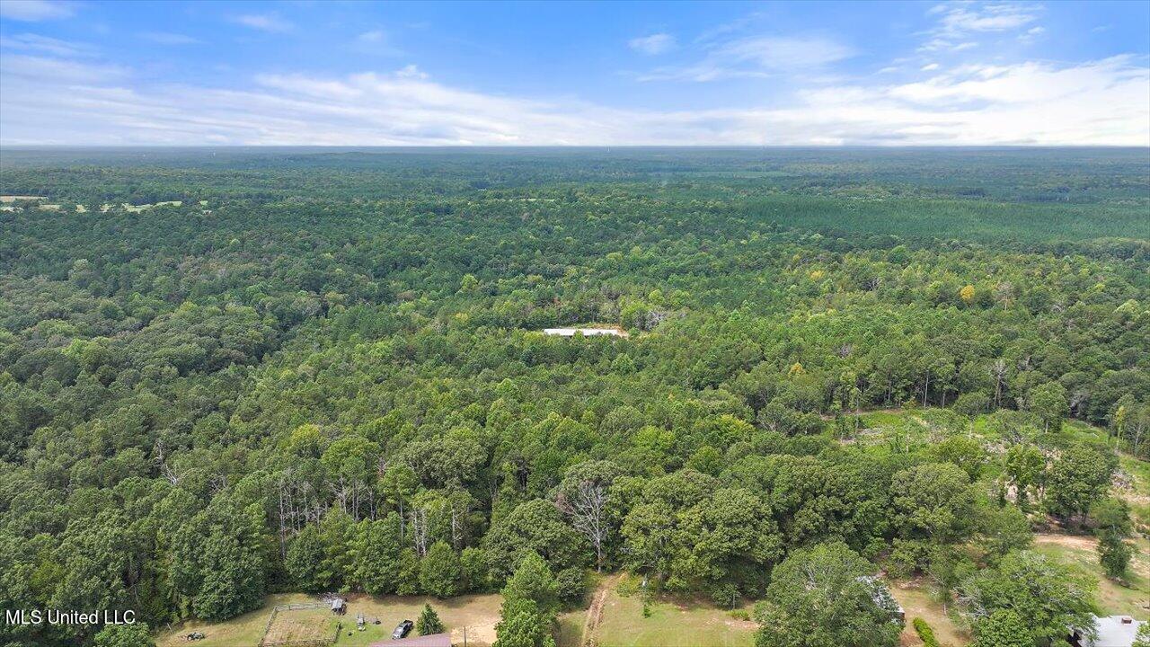 255 Everett Church Road Property Photo 18