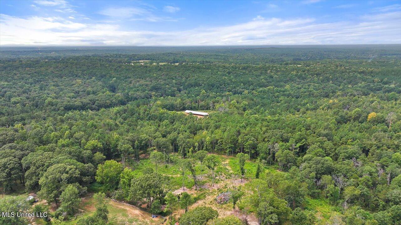 255 Everett Church Road Property Photo 19