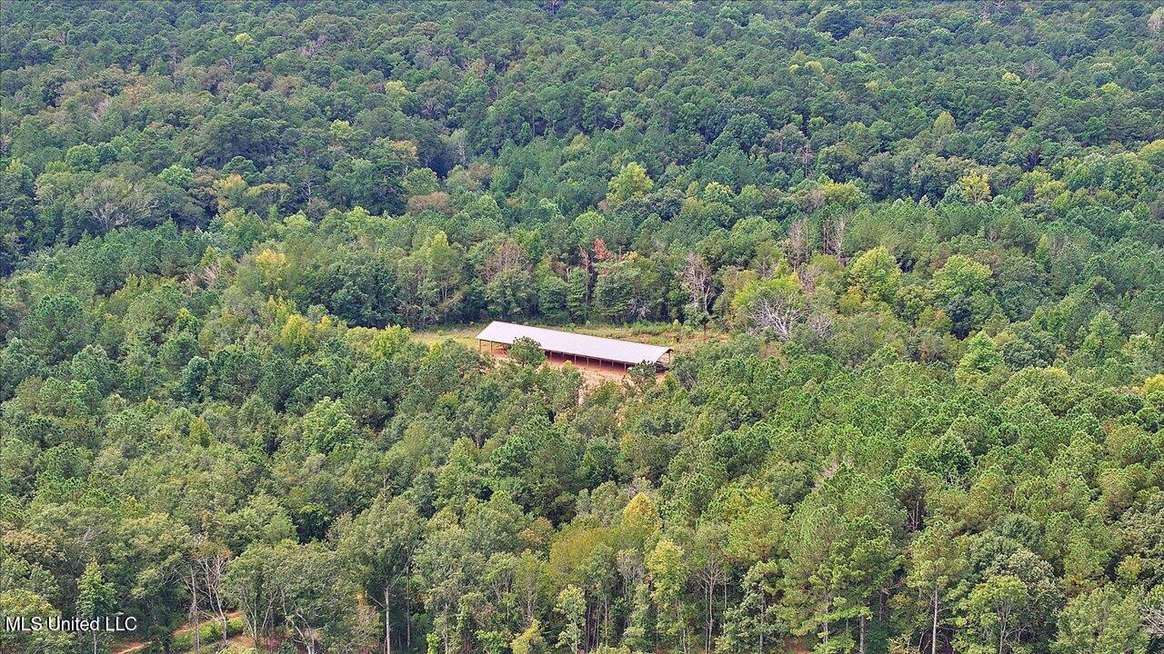 255 Everett Church Road Property Photo 20