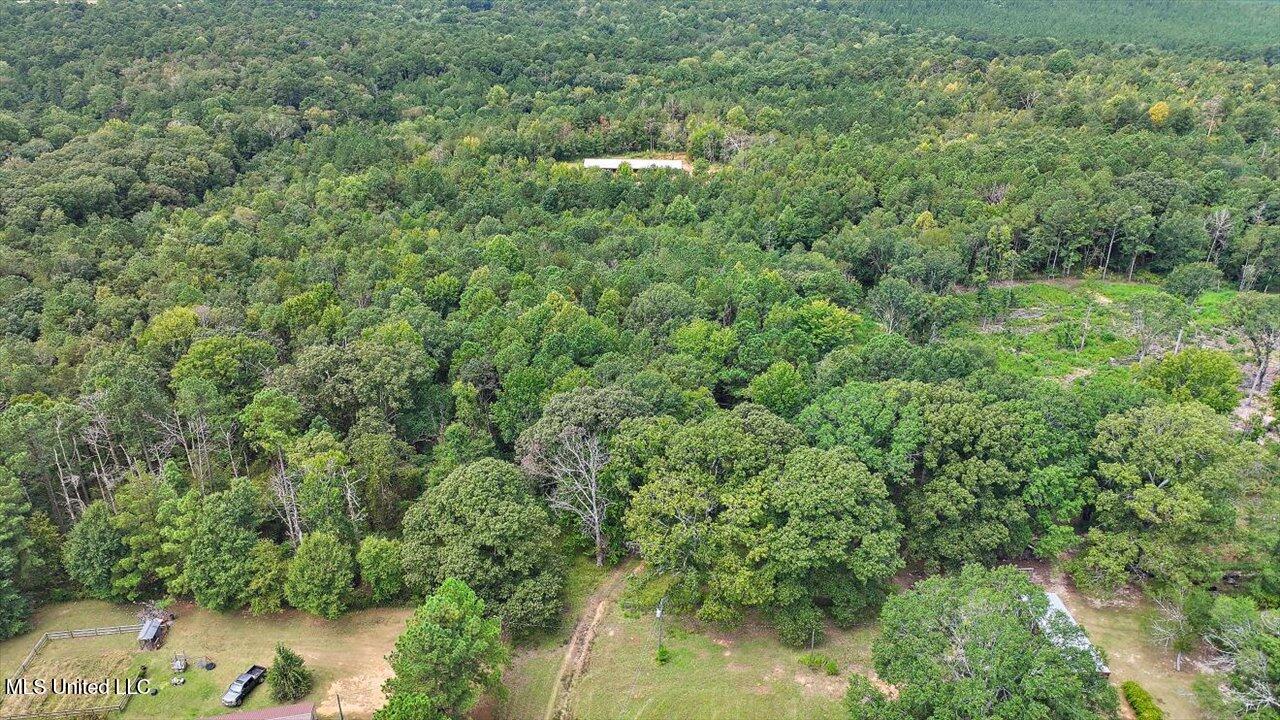 255 Everett Church Road Property Photo 25