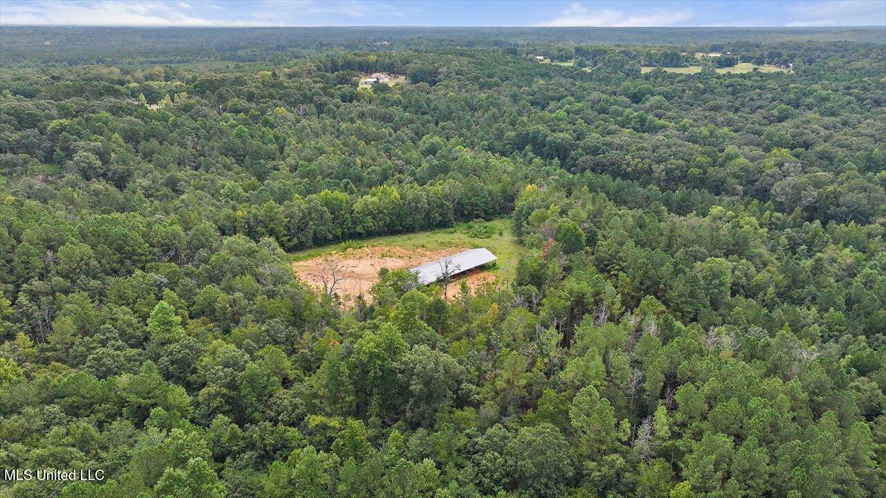 255 Everett Church Road Property Photo 29