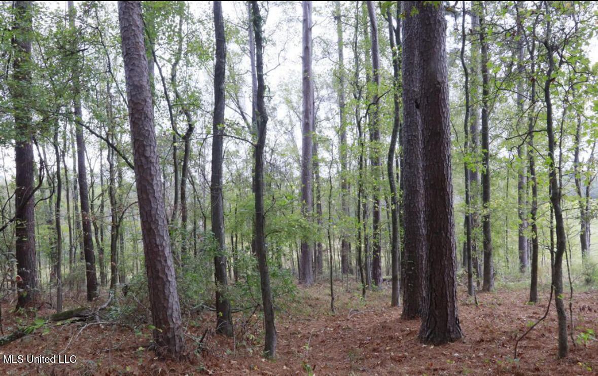 0 Westline Lots Drive Property Photo 2