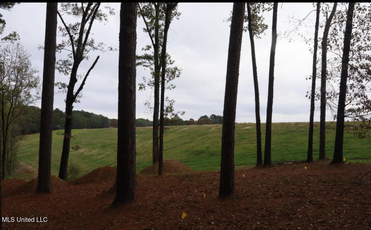 0 Westline Lots Drive Property Photo 3