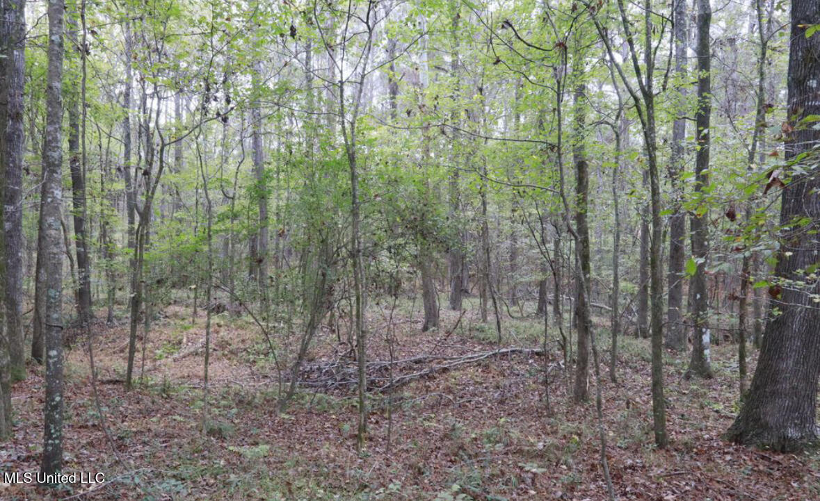 0 Westline Lots Drive Property Photo 4