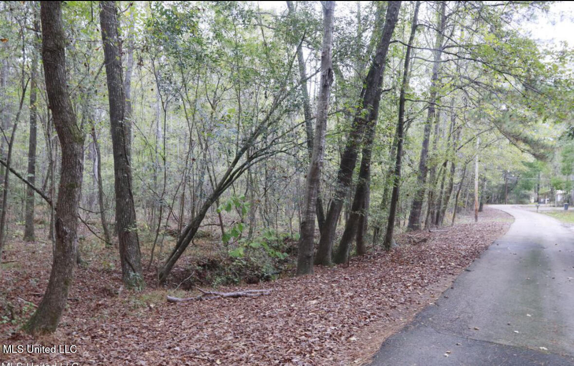 0 Westline Lots Drive Property Photo 5