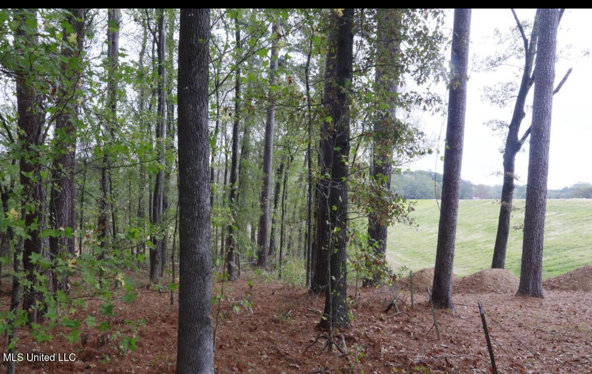 0 Westline Lots Drive Property Photo 6