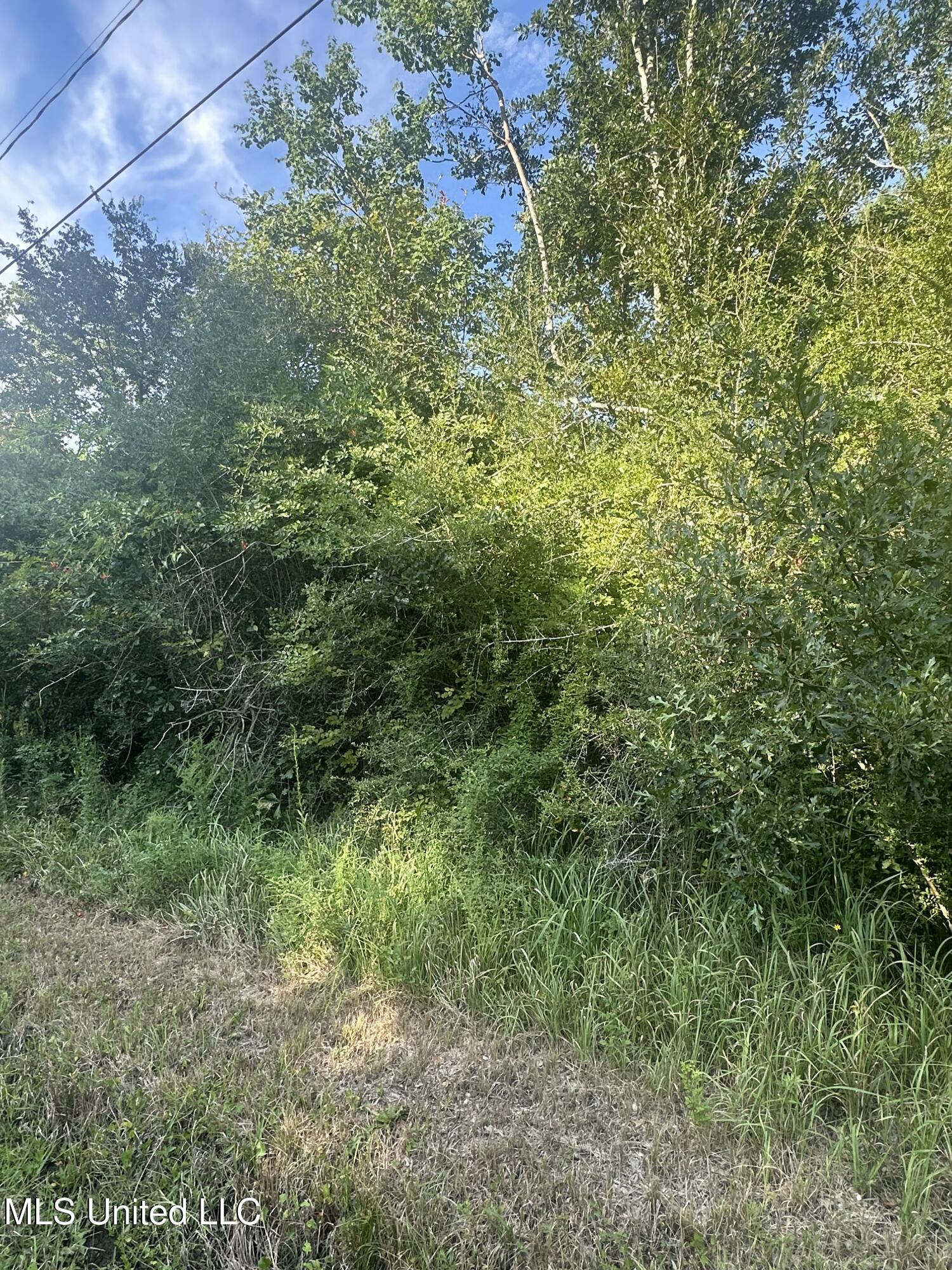 Guignard Street Property Photo 3