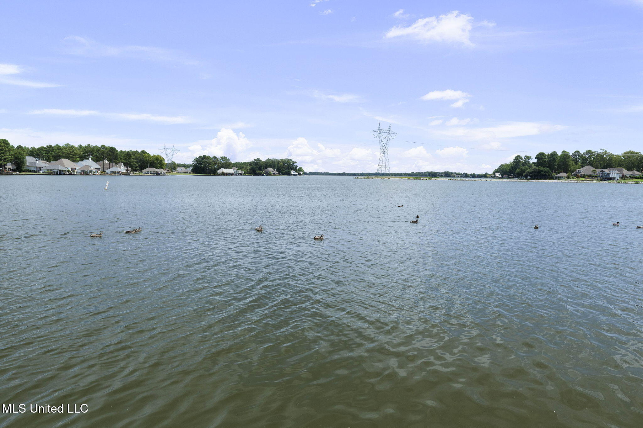 144 Heron's Bay Circle Property Photo 69