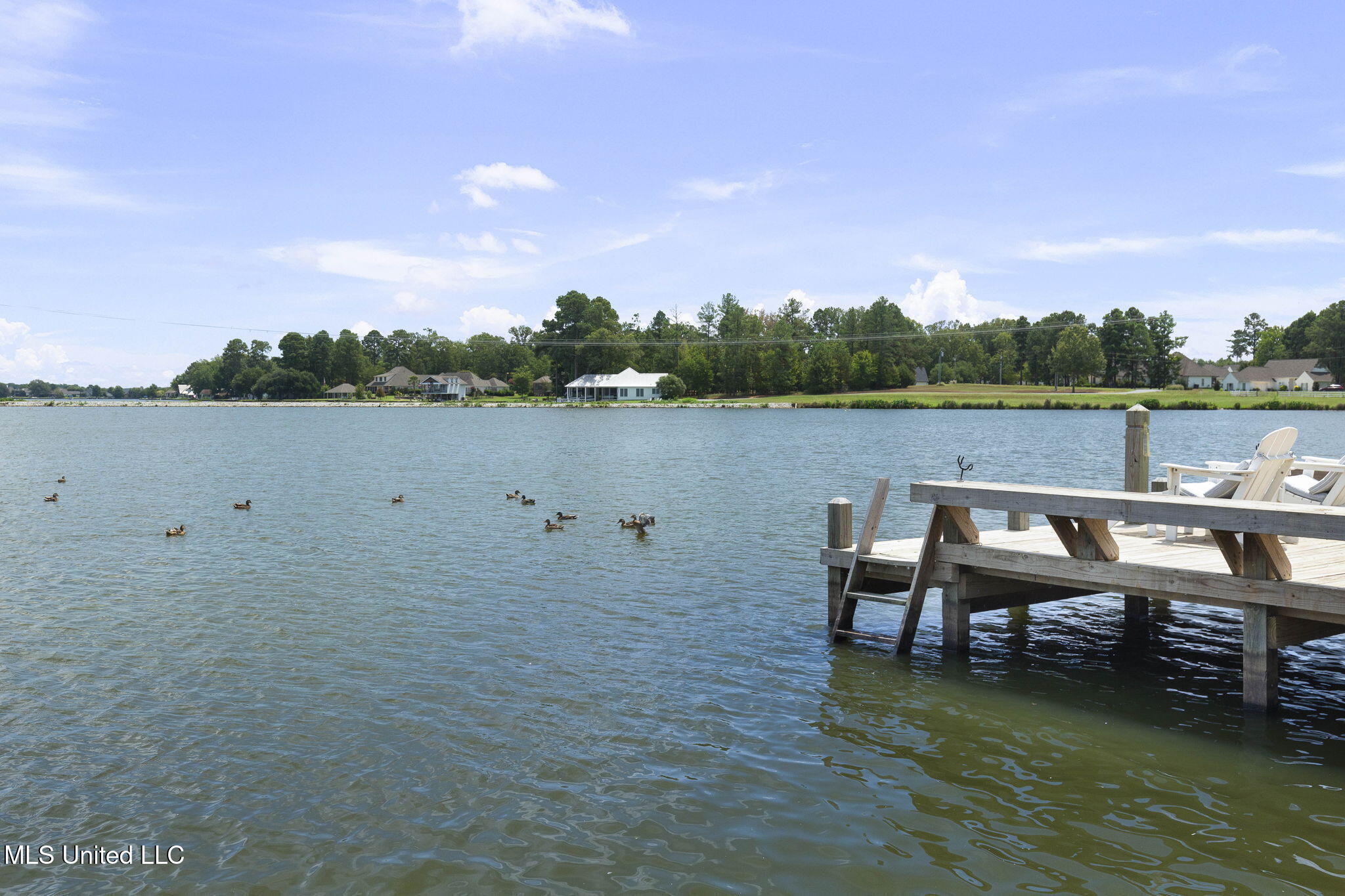 144 Heron's Bay Circle Property Photo 72