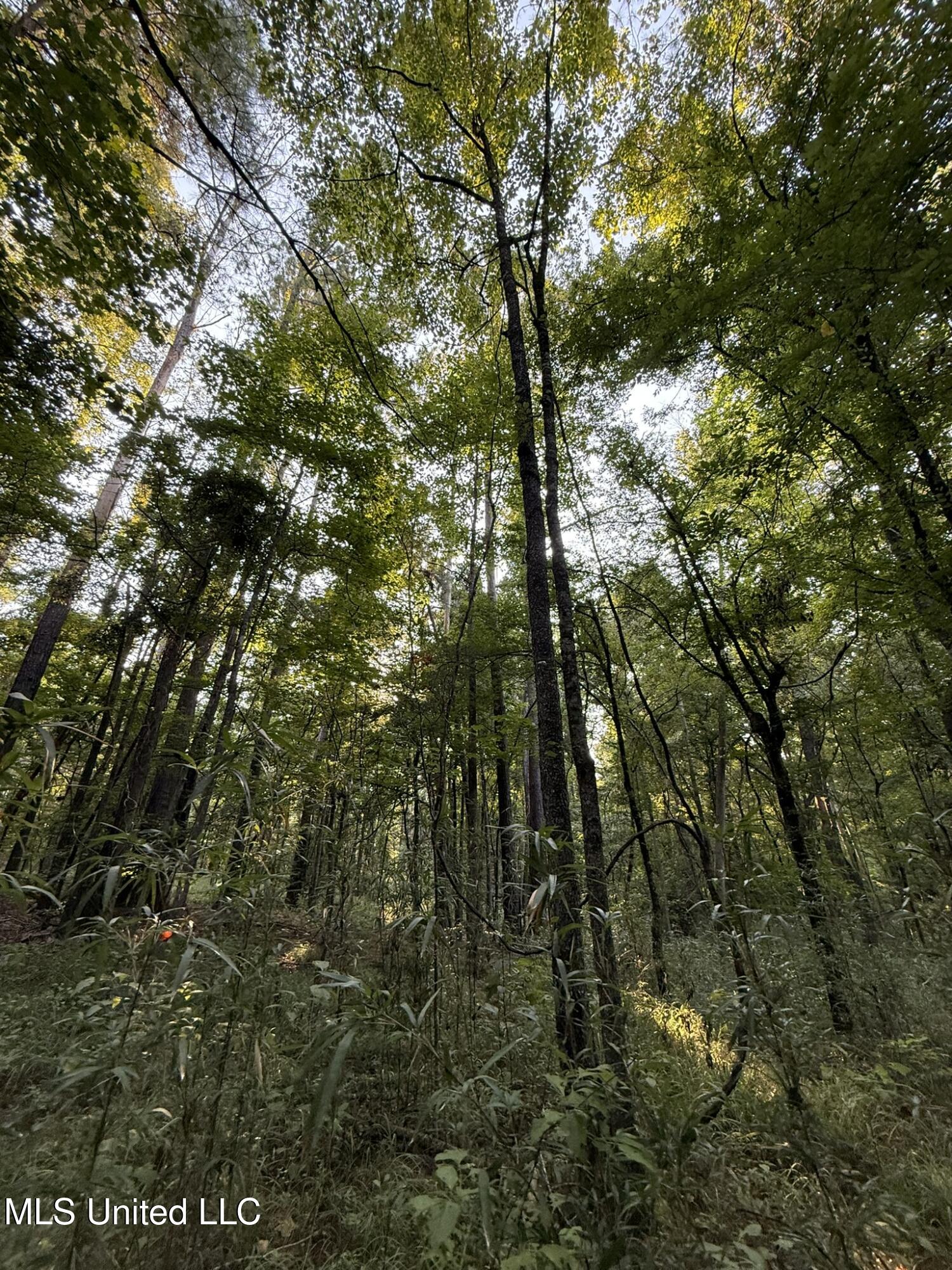 Sumrall Road Property Photo 1