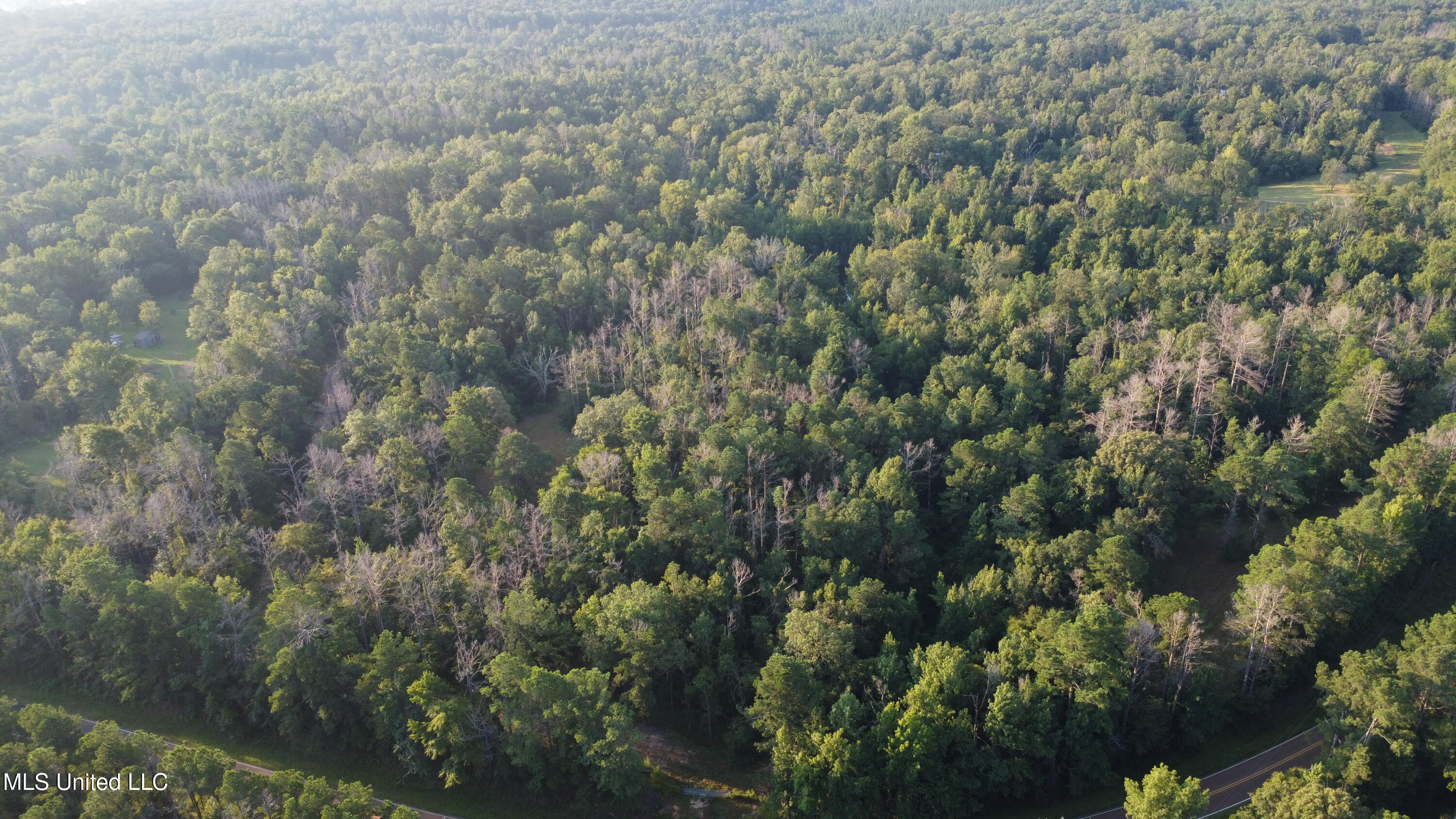 Sumrall Road Property Photo 2