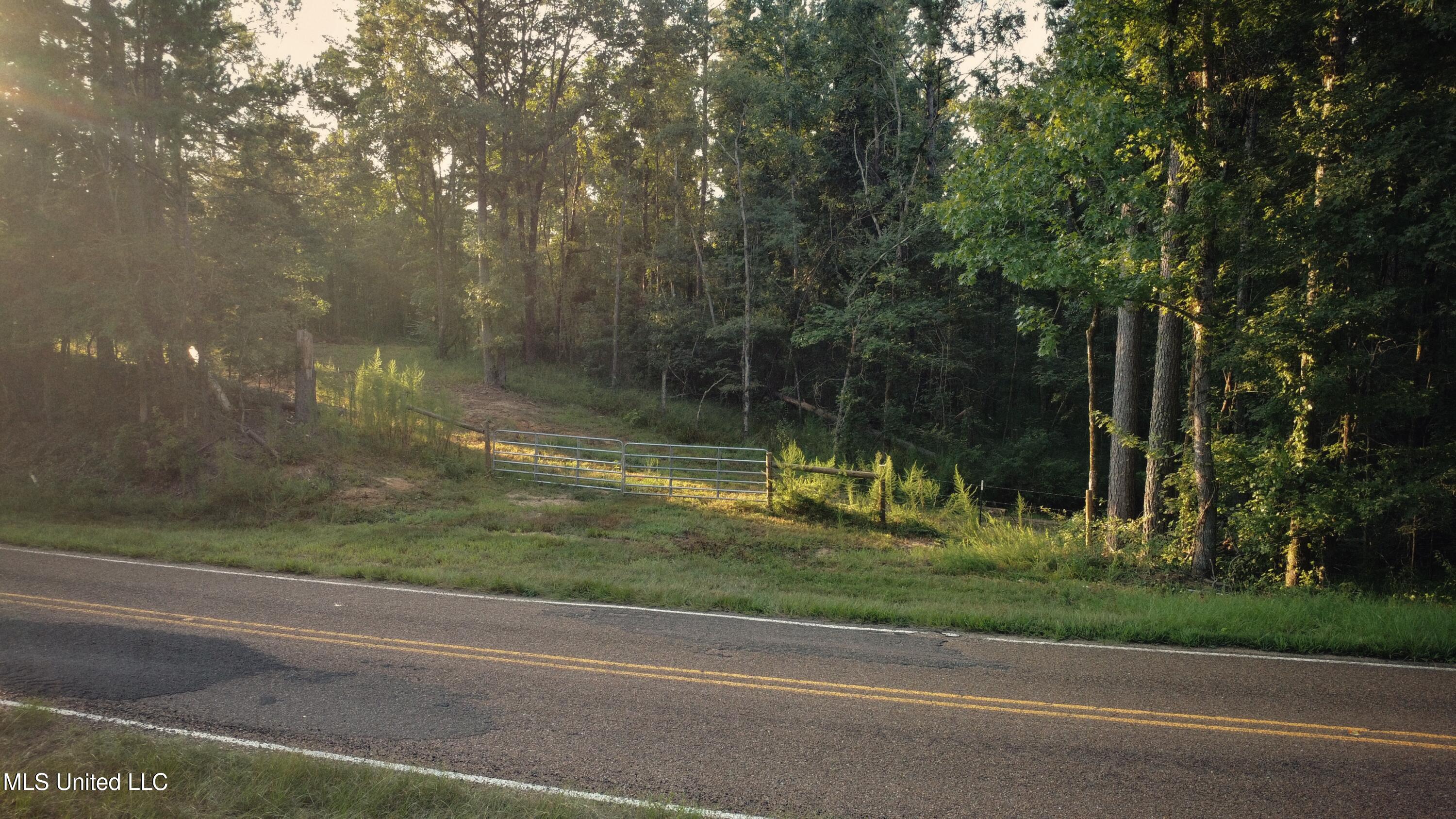 Sumrall Road Property Photo 6