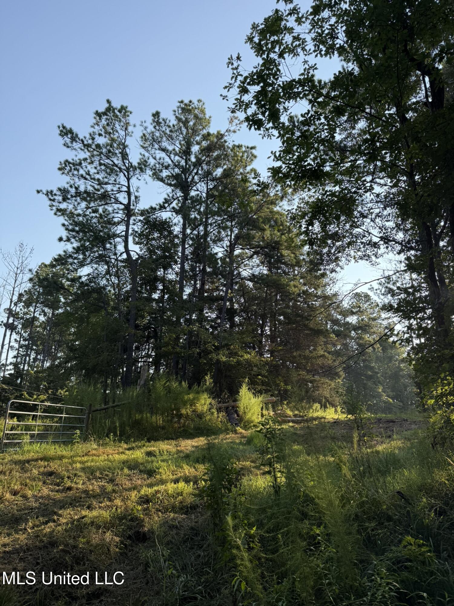 Sumrall Road Property Photo 10