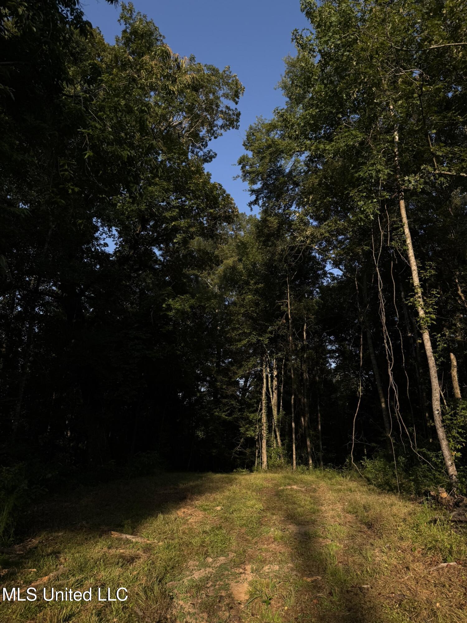 Sumrall Road Property Photo 11