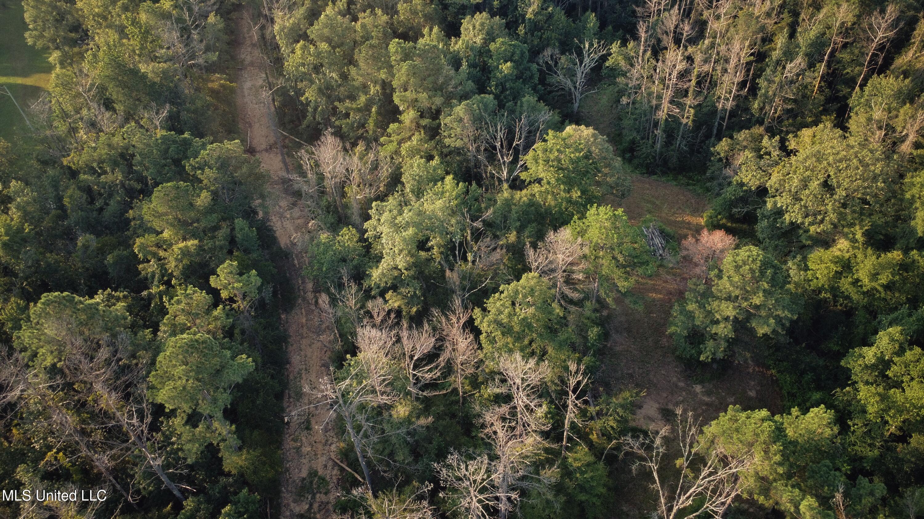 Sumrall Road Property Photo 1
