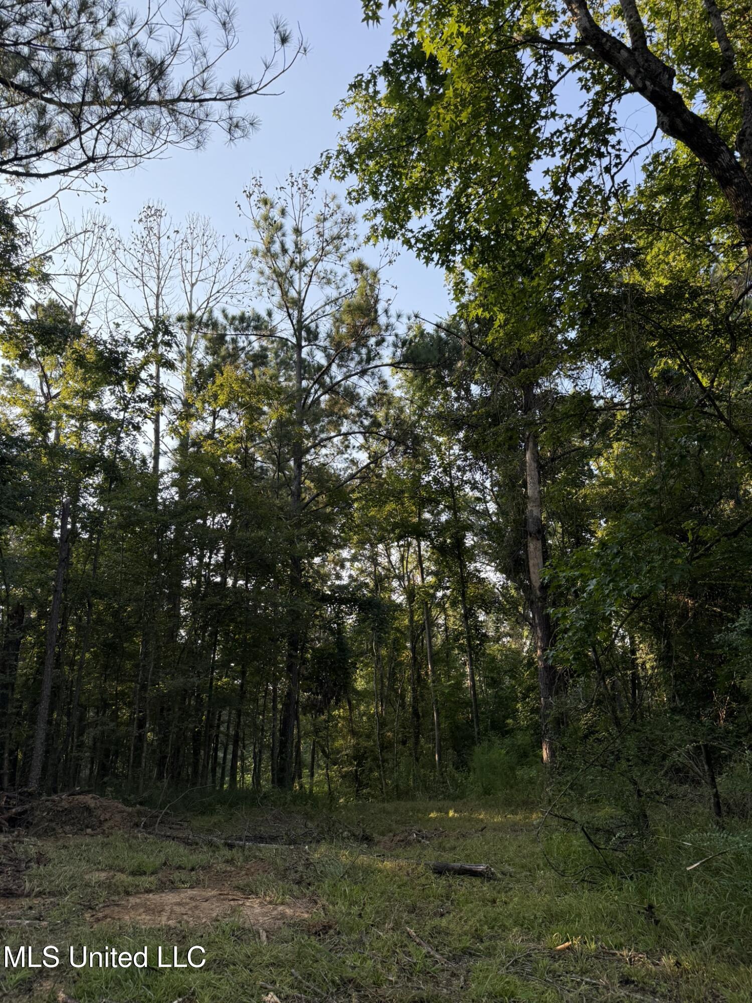 Sumrall Road Property Photo 7
