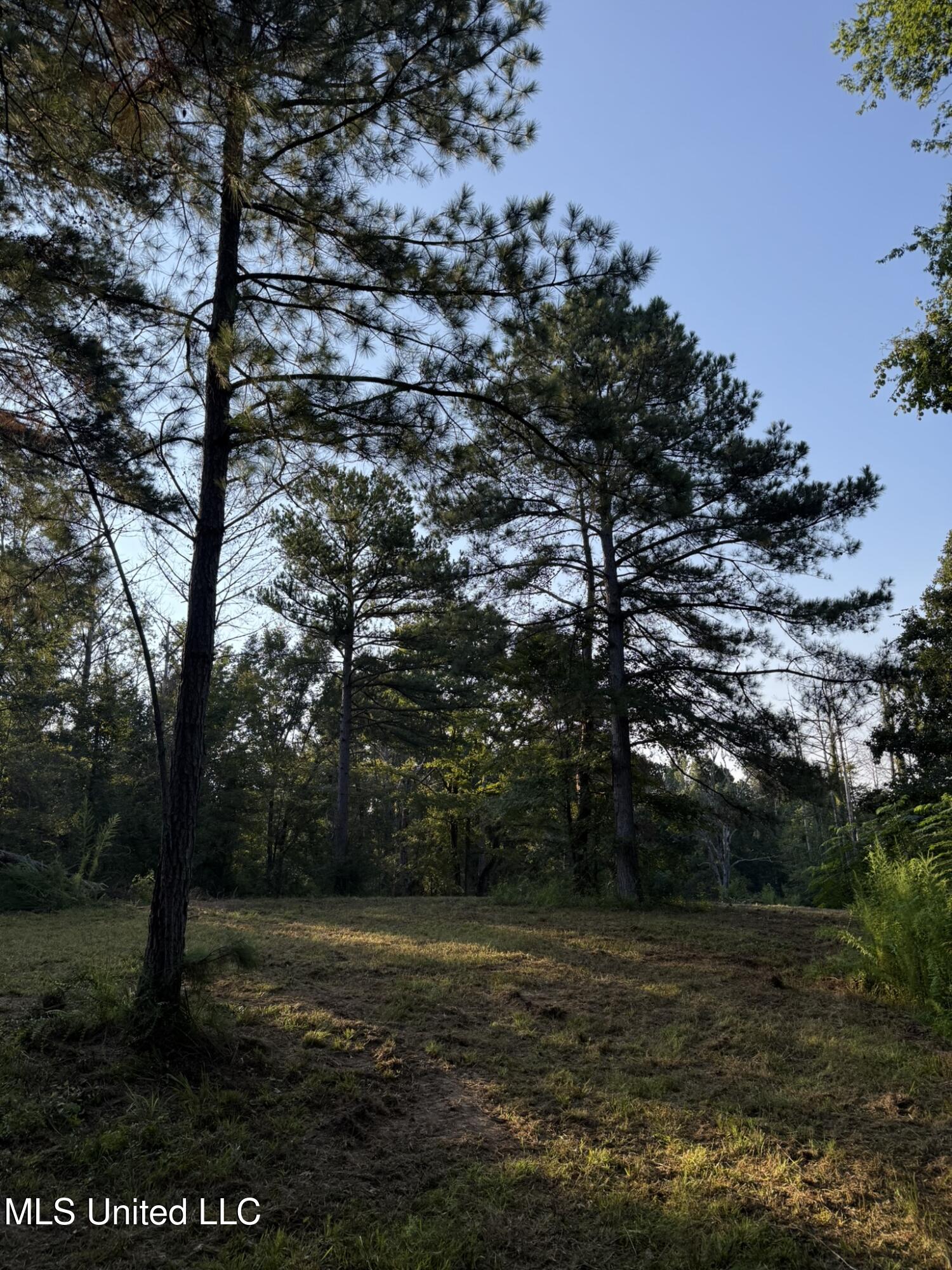Sumrall Road Property Photo 8